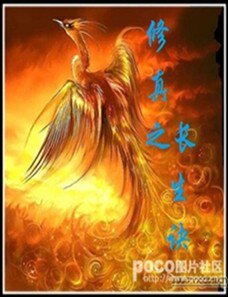 修真之長生訣